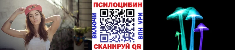 Псилоцибиновые грибы Magic Shrooms  Купить где  Углегорск 